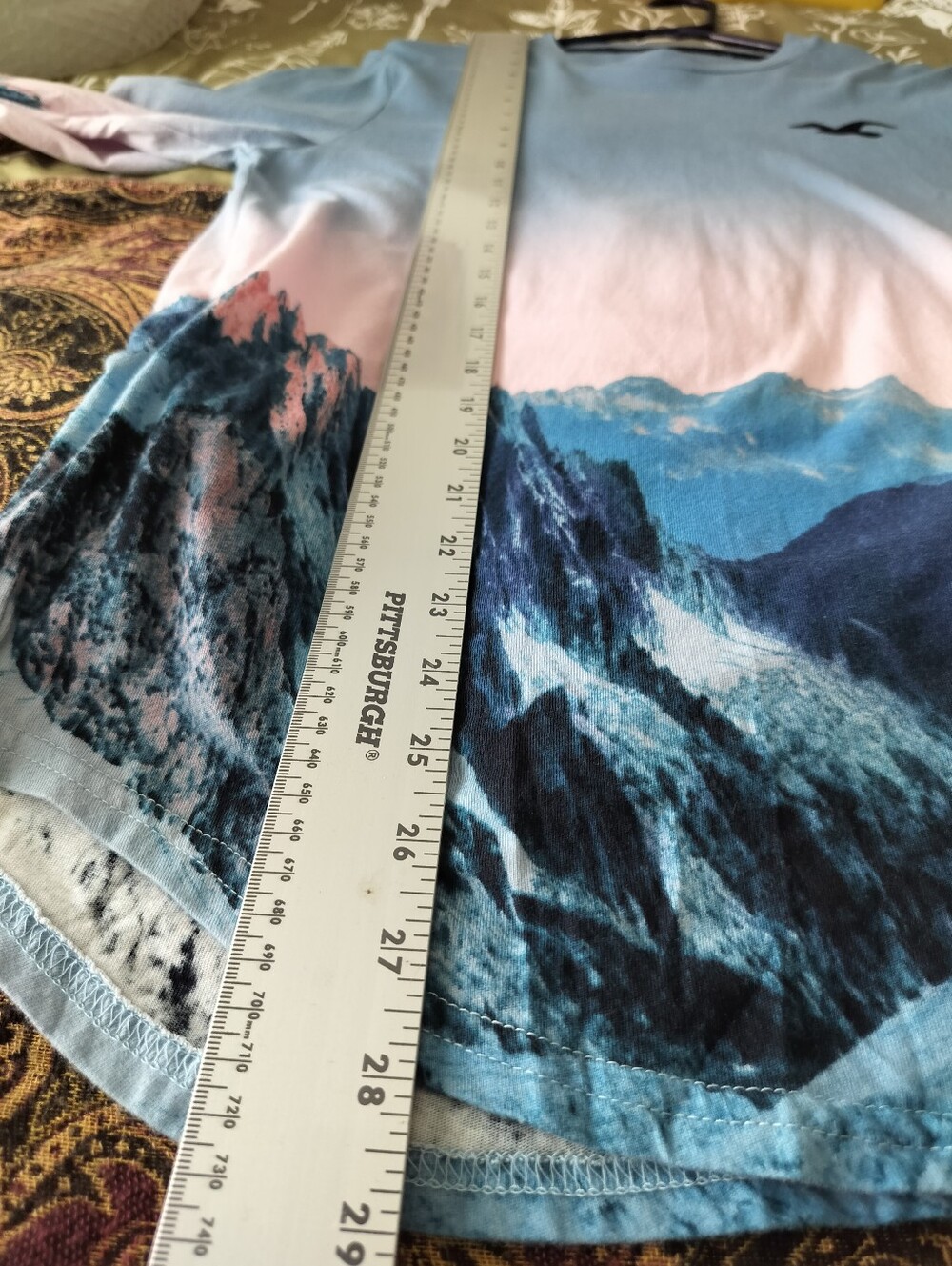 Hollister Men’s S Scenic Mountain Ombre Long Sleeve Graphic Tee Big Back Log - Picture 11 of 13